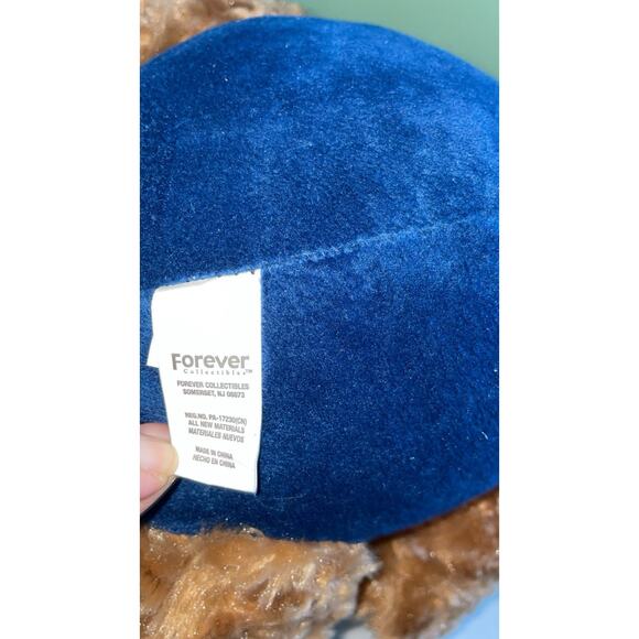 11" Forever Collectibles Sitting Plush Teddy Bear NFL Seattle Seahawks Football - Picture 3 of 6